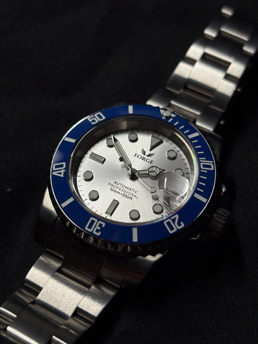 Blue and Silver Professional